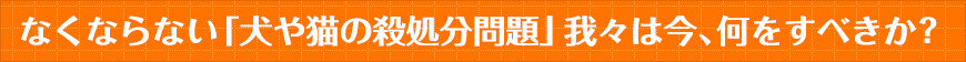 なくならない「犬や猫の殺処分問題」我々は今、何をすべきか？