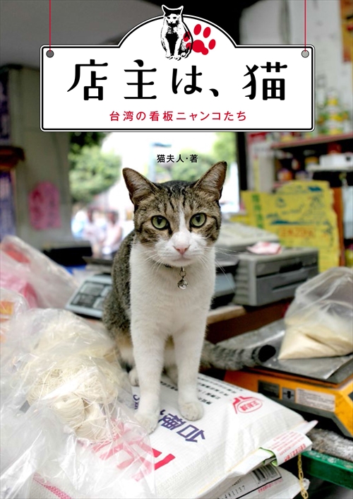 店主は、猫